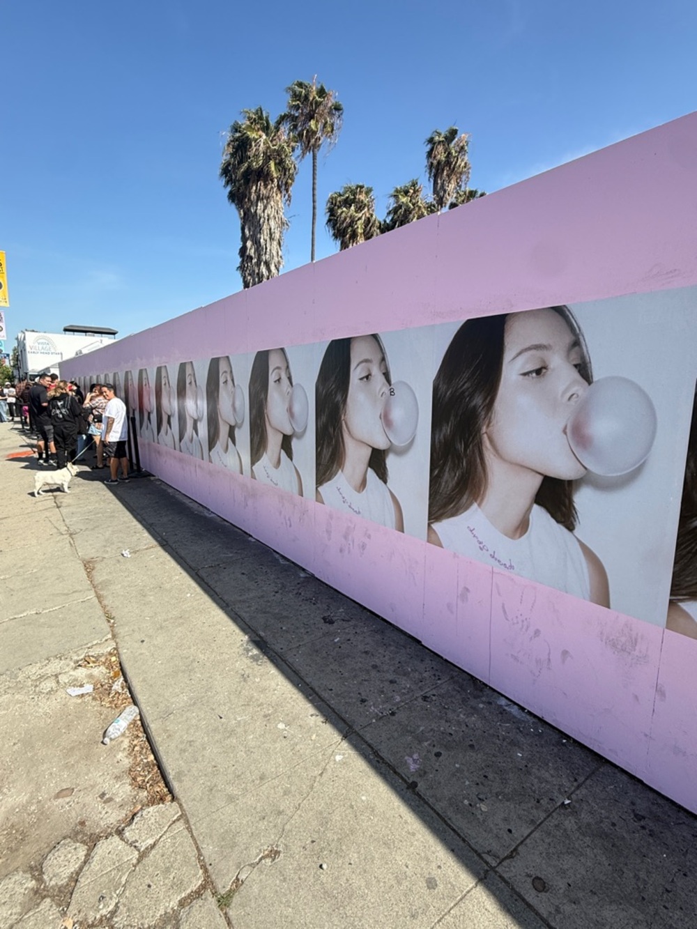 NEW Hubba Bubba GUM ! Olivia Rodrigo Rare Promo LA Melrose Mural Wall Drop Dead